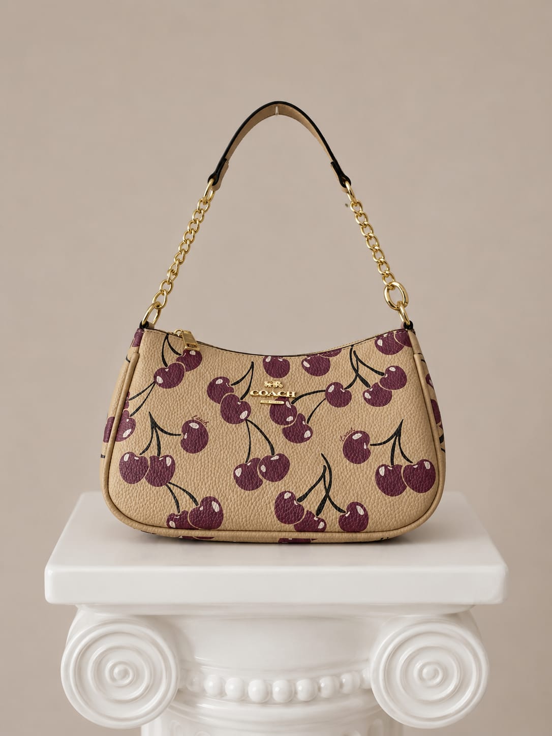 BOLSO COACH